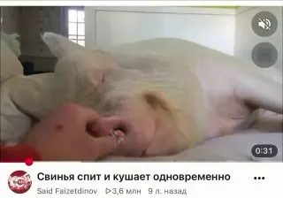 Пост канала «Записки какого-то мужика» от 27 сентября 2026 г.