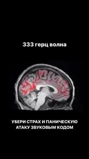 Post by “Злой эколог” from October 1, 2026